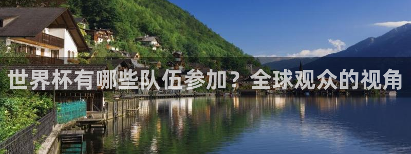 世界杯预选赛:世界杯有哪些队伍参加?全球观众的视角