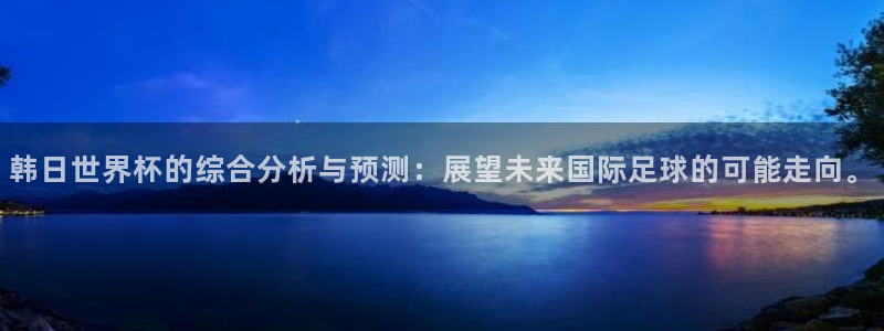 欧洲区世界杯预选赛:韩日世界杯的综合分析与预测:展望未来国际足球的可能走向。