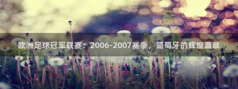 2026男足世界杯:欧洲足球冠军联赛:2006-2007赛季,葡萄牙的辉煌篇章