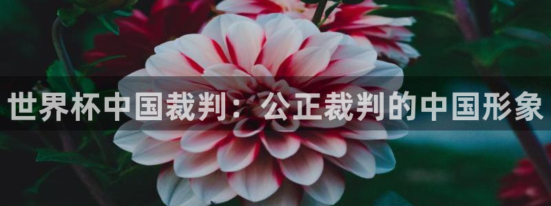 世界杯决赛直播:世界杯中国裁判:公正裁判的中国形象