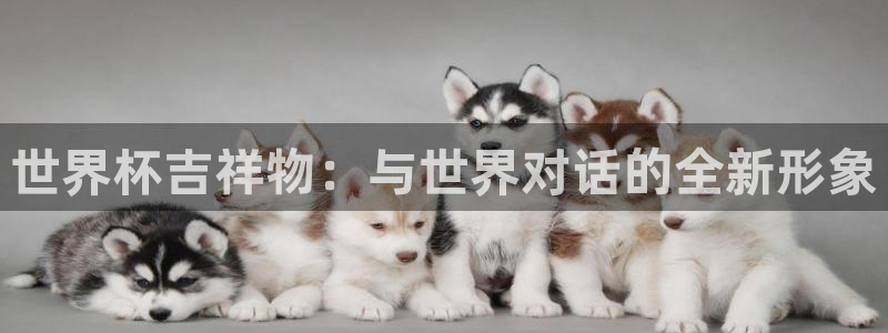 2026世界杯预选赛:世界杯吉祥物:与世界对话的全新形象